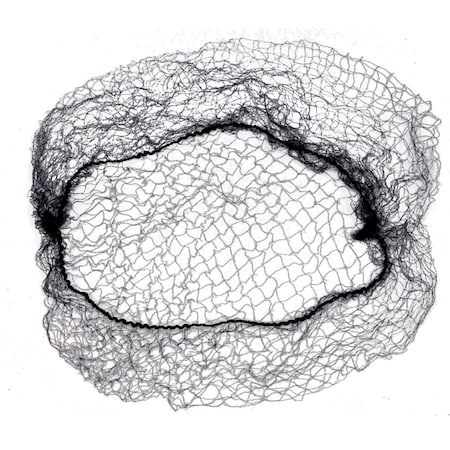 Popular Life Violette Fine Mesh Black Hair Nets, PK2 BLPL-MS-DH-5Bk-2